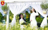 Ngẩn ngơ ngắm hoa khôi sinh viên Hà Nội khoe sắc bên cúc họa mi